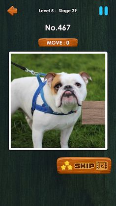 Picture Match Puzzle - Screenshot 2