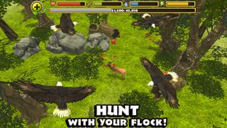 Eagle Simulator - Screenshot 3