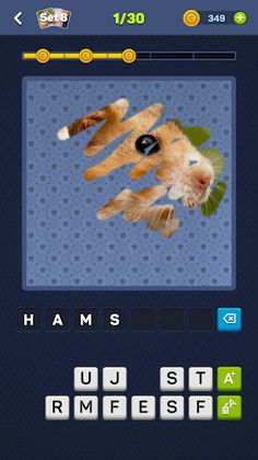 Clean the Picture - Screenshot 3