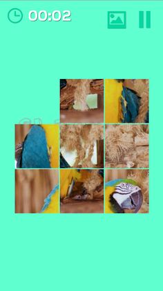 Sliding Puzzles - Birds - Screenshot 4