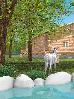 Escape Game: Log House - Screenshot 3