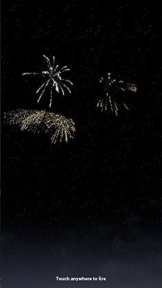 Celebration Fireworks - Screenshot 1