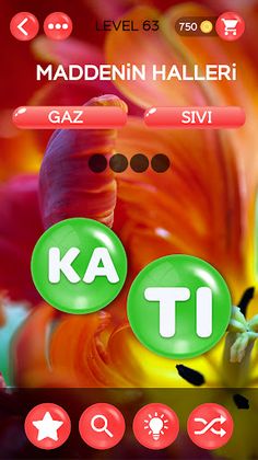 Kelime Şöleni: Kelime Oyunu - Screenshot 4