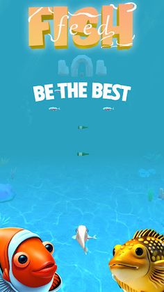 Fish Feed - Screenshot 1