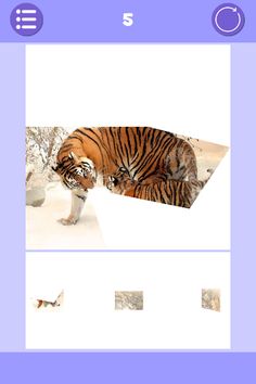 Tangram Picture Puzzle - Screenshot 2