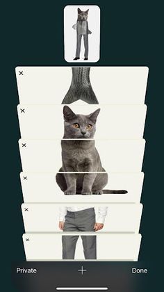 Tab Puzzle - Screenshot 4