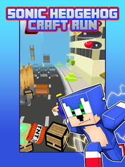 Run Hedgehog Run - Screenshot 1