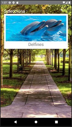 Rompecabezas de Delfines - Screenshot 1