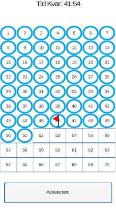 Öva Körkortsteori! - Screenshot 4