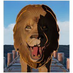 Quick Fasting - Screenshot 2