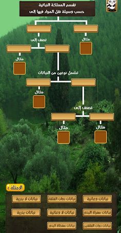 مملكة النباتات - Screenshot 4