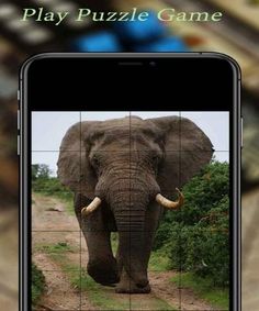 Photo Puzzle Game - Screenshot 4