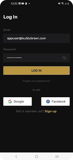Buddy Brawl - Screenshot 1