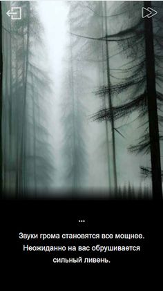 Дом в лесу - Screenshot 1