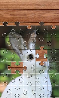 Rabbits Jigsaw Puzzles Games - Screenshot 2