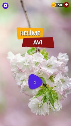 Türkçe Kelime Oyunu - Screenshot 1