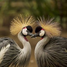 Mixed puzzles - Screenshot 3