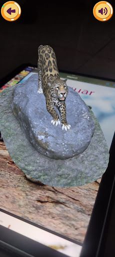 Wild Wonders - Screenshot 2