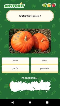Fruits and Vegetables - AnyFru - Screenshot 4