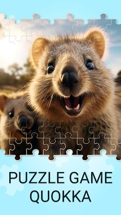 Quokka Games Jigsaw Puzzles - Screenshot 4