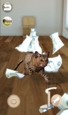 Talking Somali Cat - Screenshot 3