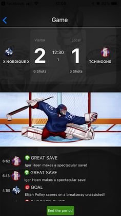 Virtual League of Hockey - Screenshot 3