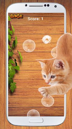 Cat Game - Bubble Pop - Screenshot 2