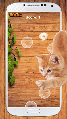 Cat Game - Bubble Pop - Screenshot 2