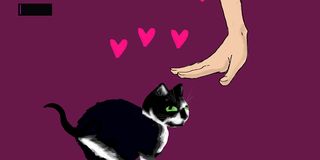 Bug Petter - Screenshot 3