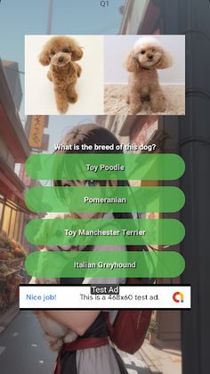 Quiz: Dog & Cat Breeds - Screenshot 1