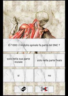 L'Anatomista il quiz Italiano  - Screenshot 2