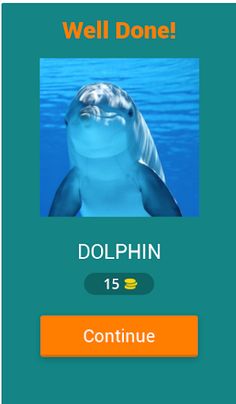 Guess : Animals Quiz Game - Screenshot 4