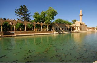 BALIKLI GÖL - Screenshot 2