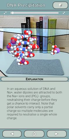 DNA Precipitation - Screenshot 2