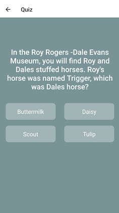 QuizMaster Pro - Screenshot 2