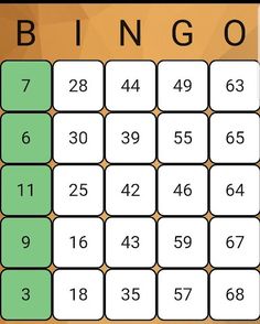 Play Bingo - Screenshot 4