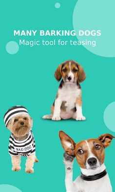 Translator for dogs joke - Screenshot 4