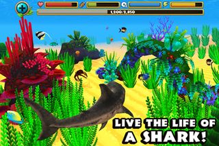 Wildlife Simulator: Shark - Screenshot 1