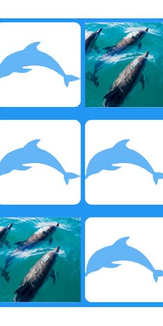 Dolphins Memory Game - Screenshot 4