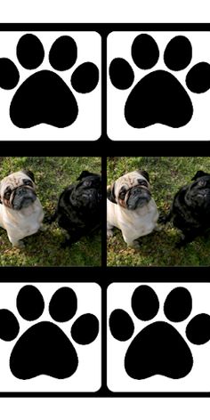 Pugs Memory Game - Screenshot 3