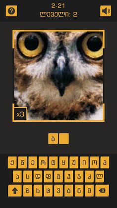 ფოტო ახლოდან - Screenshot 1