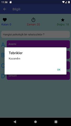 Bilgili - Screenshot 4