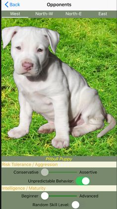 K9 Hearts - Screenshot 4