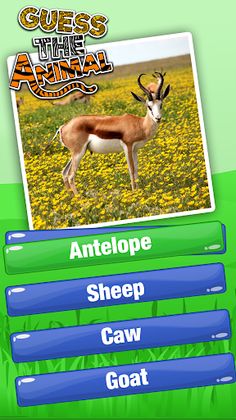 Guess The Animal Quiz Games - Screenshot 2