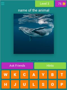 guess pic - Screenshot 4