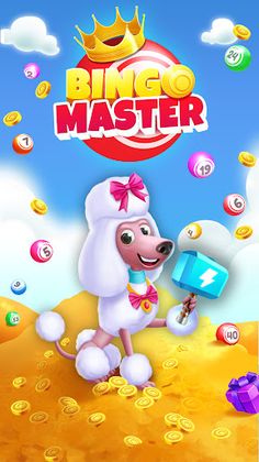 Bingo Master & Coin Adventure - Screenshot 1