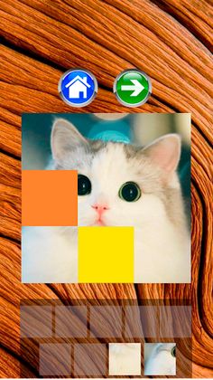 Cats - Puzzle - Jigsaw - Screenshot 4