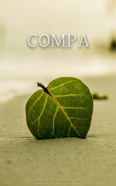 Compa - Screenshot 2