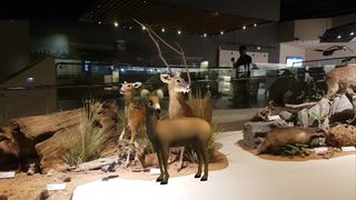 자원관이 살아있다(Adventure at Museum) - Screenshot 3