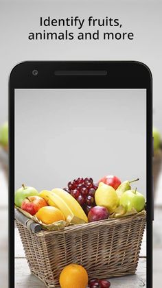 Exploria - AI Lens for Kids - Screenshot 2